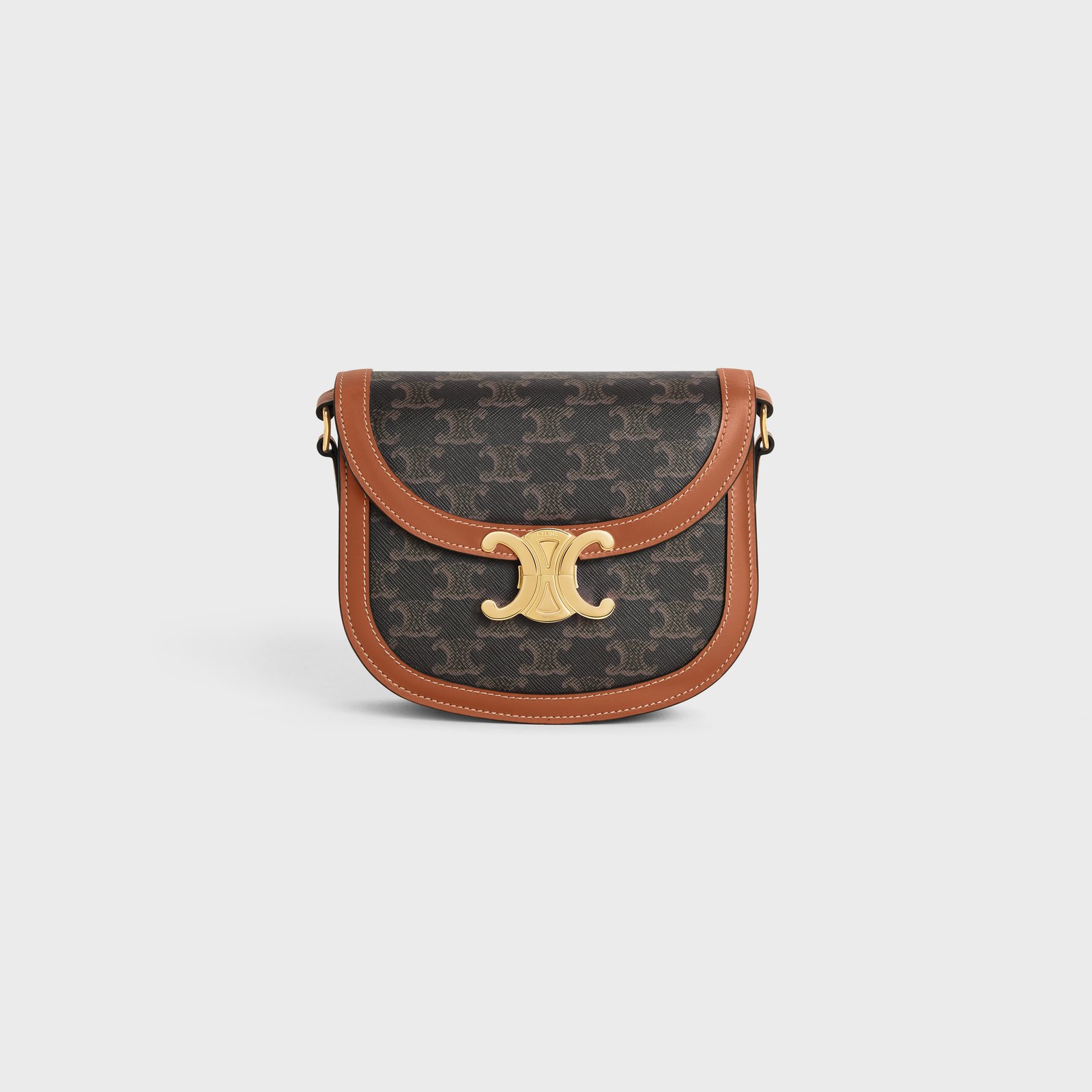 060571d66253bb28c40f47af983cb486-1 BESACE CLEA in Triomphe Canvas and Calfskin - Image 1