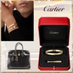 LOVE BRACELET CLASSIC MODEL & Herm¨¨s BIRKIN 25 BAG