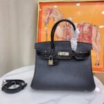 Herm¨¨s Togo Matte Alligator Birkin Touch 25/30 Gold